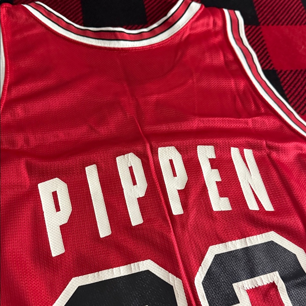 VINTAGE Chicago Bulls #33 Scottie Pippen 1990’s Era Champion Brand NBA Jersey - Picture 7 of 7